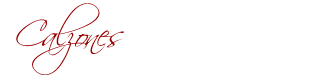 Calzones